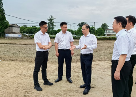 胡云赴眉山调研耕地；；；な褂煤透弑曜寂┨锝ㄉ枋虑