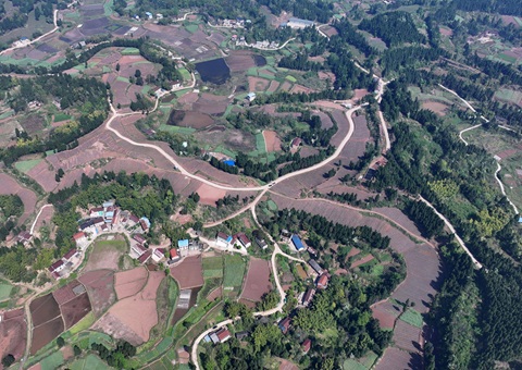 内江市东兴区局周全做好耕地保唬护 全力做好用地包管