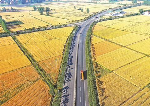 湖北奖励十五个耕保效果突出县（市、、、区）