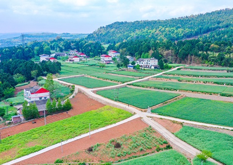 广元市推行“卫星田长”科技助力精准；；；じ
