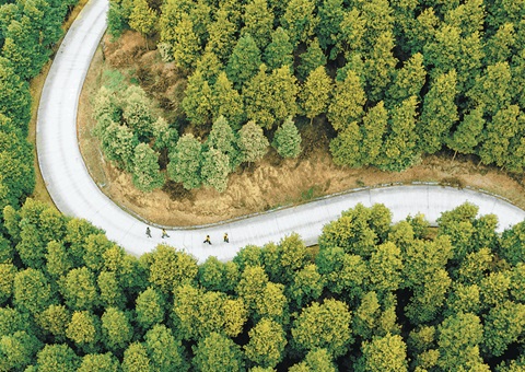 重庆市周全深化林权挂号制度刷新 &nbsp;&nbsp; 助力林地“绿色资源”向黎民“金色财产”转变