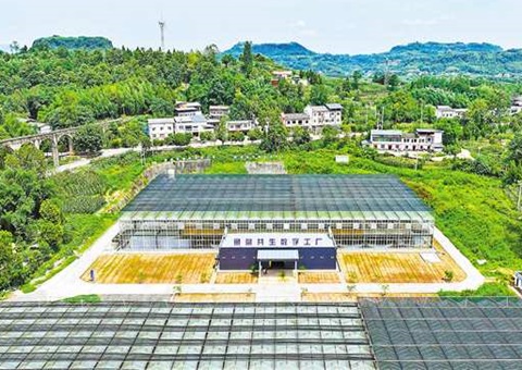 重庆：数智赋能&nbsp;&nbsp;土地结出“智慧果”