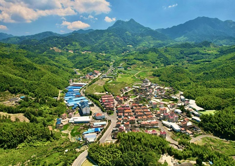 福建深化运用“知、、、督、、、促”事情机制——靶向发力 护航墟落振兴