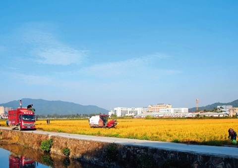 瞭望｜广东：“耕”出新动能 “连”出好风物