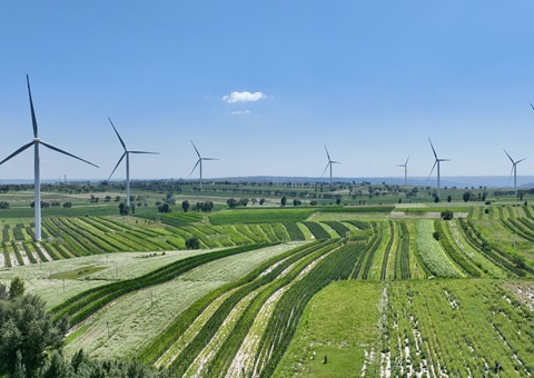 陕西省榆林市定边县：：：领土空间妄想“一张图”实现营业“一站式”高效办理
