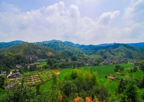 江西省赣州市石城县：紧扣“三提三用”事情主线 铸造自然资源铁军