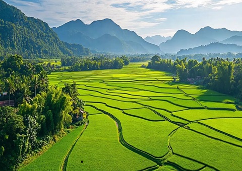 “自然资源+税务”协同共治！崇左筑牢耕地；；；び胨笆铡八老摺