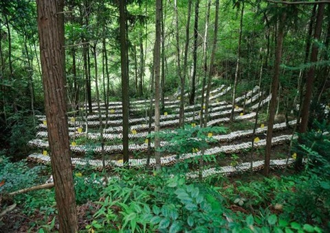 江西森林可持续谋划：：开创生态美工业兴黎民富协同开展新时势