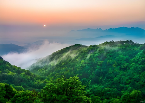 福建森林提质四放肆措打造黎民“幸？？可健