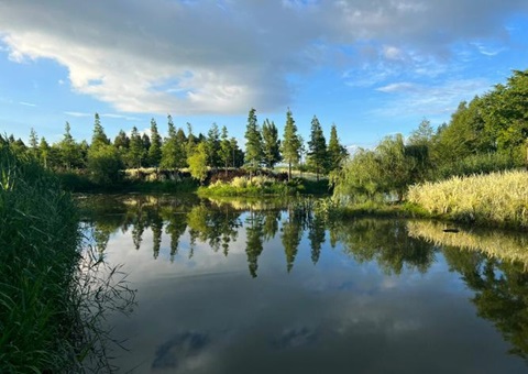 湖北武汉：：“人工智能+”赋能湿地智慧制作新模式