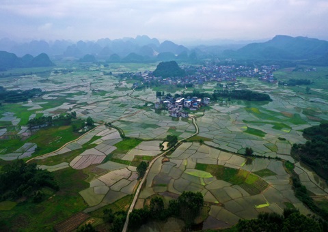 重磅释放！玉林市29宗焦点地块集中推介解锁投资新商机