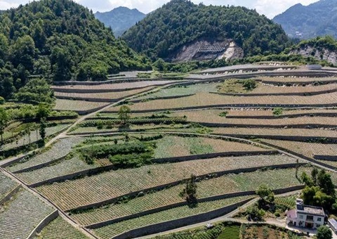 “三资”刷新激活“三荒”资源  &nbsp;&nbsp;湖北宣恩蹚出生态价值转化新路径