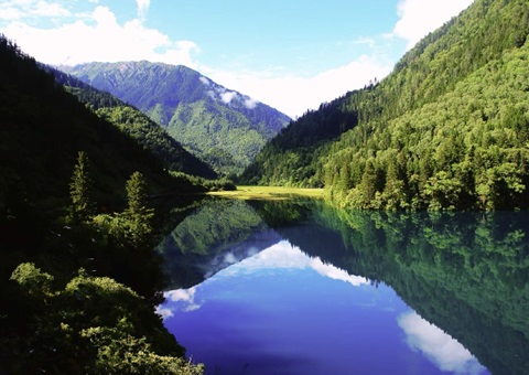 预计2025年底，，，四川省“林粮”产量1500万吨、产值1800亿元