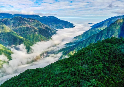 “组合包”，，，流通生态产品价值转化