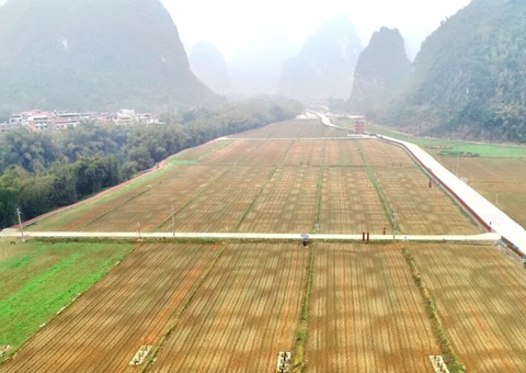 广西首批300万元全域土地综合整治奖励性津贴兑现   推动“依效奖补、、、以评促建”落地