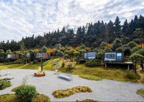 天下典范案例+1！！重庆探索“四方共治”实现生态修复与增收共赢