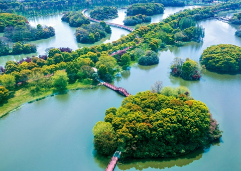 江西省湿地；ぢ室汛61.99%