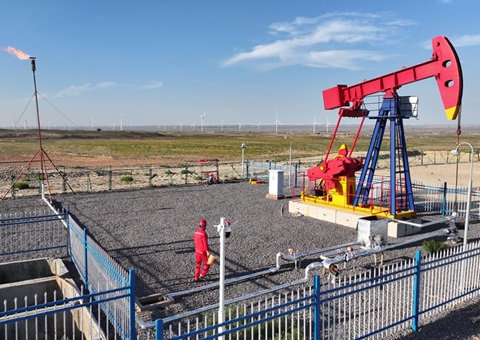 宁夏纵深推进新一轮找矿突破战略行动，，，实验一批煤层气、、、页岩气、、、煤炭等勘查项目