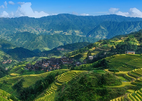 津贴200万元！！！广西实验林权挂号财务资金激励