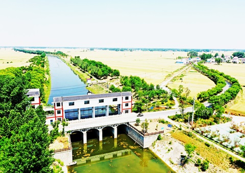 淮北市：：：“聘”好驻镇妄想师 做优“陪同式”墟落妄想服务