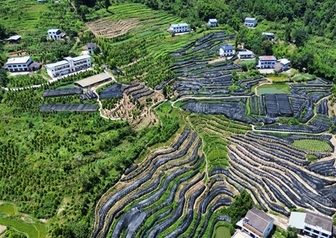 重庆首个林业生态产品价值核算效果应用落地