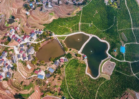 农刊行重庆市分行：：：投放全市首笔全域土地综合整治贷款