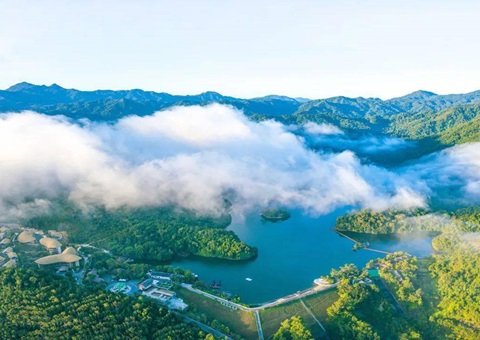 海南将重点开展5类森林康养基地