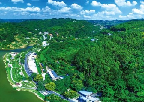 包管重大项目加速落地！成都会构建用地用林联动审查机制