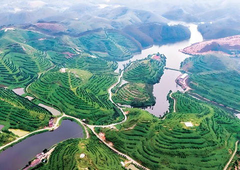 广东林业特色工业开展奖补项目实验持续推进