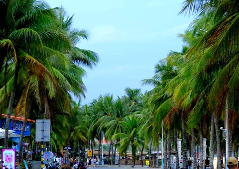 建“清凉城市”，，海南有何“凉方”?