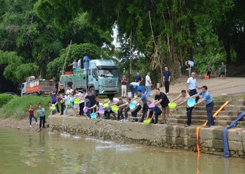 落实重大工程生态赔偿！79万尾鱼苗“安家”龙州左江湿地