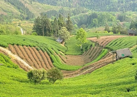 广西三江：：：下好墟落妄想“先手棋” 探索和美墟落“新样本”