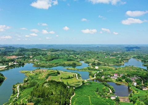 3.25亿吨、、、估值38.41亿元&nbsp;&nbsp; 四川有这些生态系统碳汇“家底”