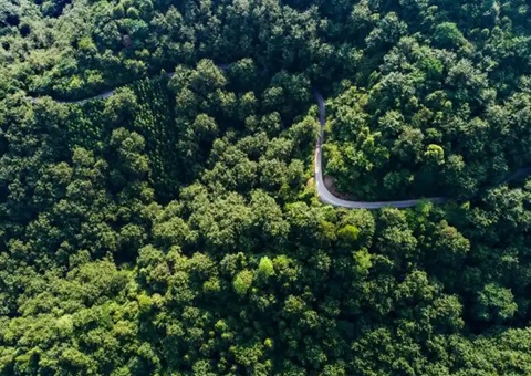 湖南省首例！靖州“国有建设用地+VEP”自然资源资产组合项目实现生意