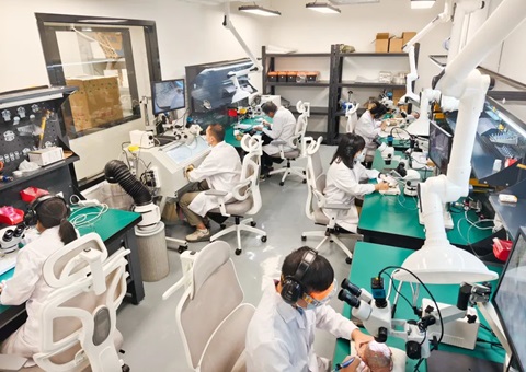 解锁远古“生命档案”！！！广西首家专业古生物化石修复判断室亮相