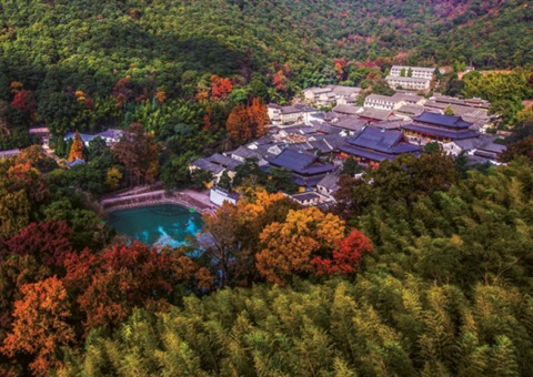 浙江：：：森林公园生态旅游怎样高质量开展？？