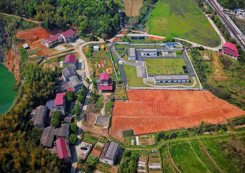 株洲：“三链联动”推动耕地耕作层剥离再使用