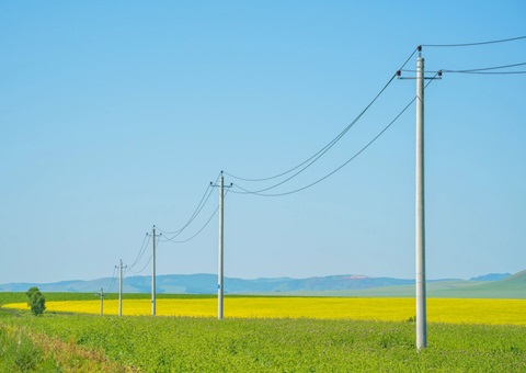 湖南出台耕地新建杆线治理步伐