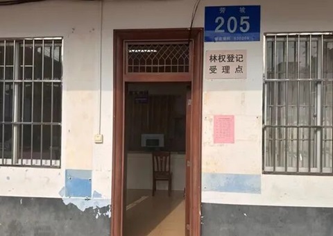 林权挂号集中“破题”——广西南宁探路高效便民新路径